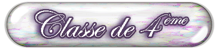 Bouton Classe de 4eme
